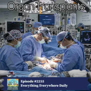 Organ Transplants