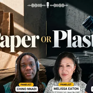 Paper or Plastic?