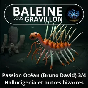 S08E20 Passion Océan 3/4 : Hallucigenia et autres créatures bizarrissimes (Bruno David)