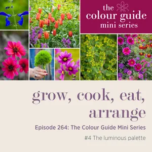 The Colour Guide Mini Series #4: The luminous palette - Episode 264