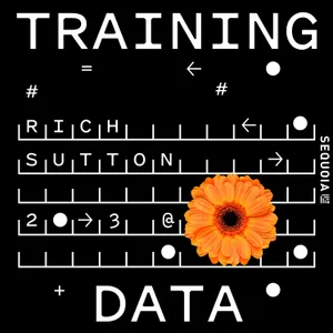 Rich Sutton and Khurram Javed: Why AI Models Stop Learning, and How to Start It Again
